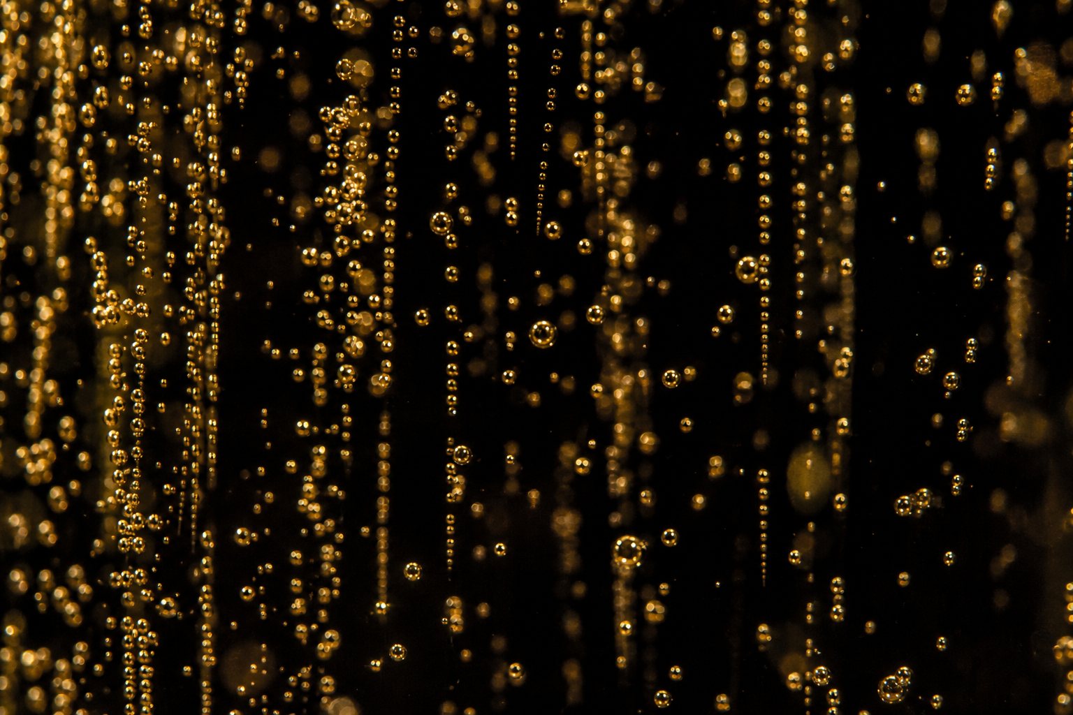 Golden champagne bubbles rising, macro